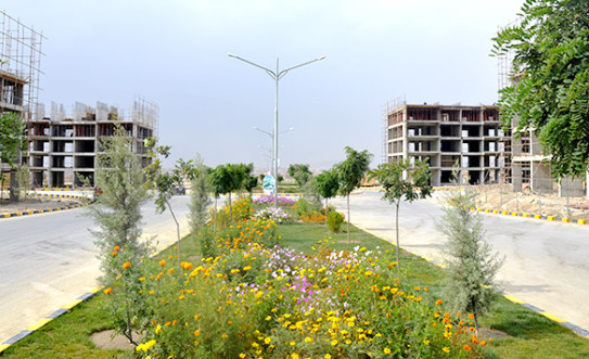 said jamaluddin project
